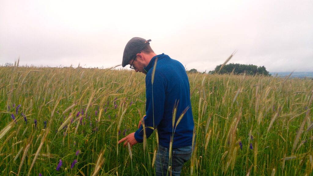 Elevage ovin et vosgien : produire et vendre localement